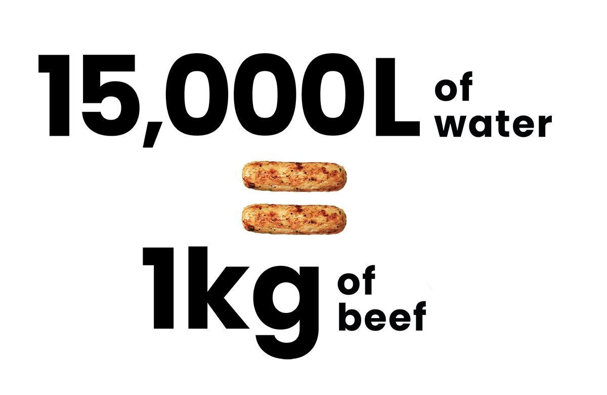 Text reads, ’15,000 litres of water equals 1 kilogram of beef’ with sausages for the equals sign.